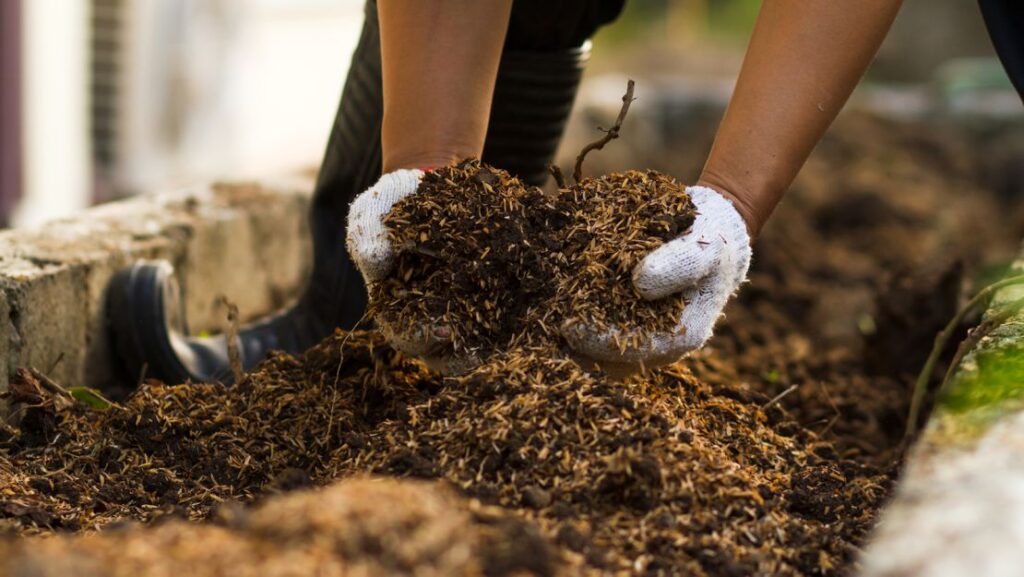 How to compost at home: Rich soil for gardening | CNN Underscored